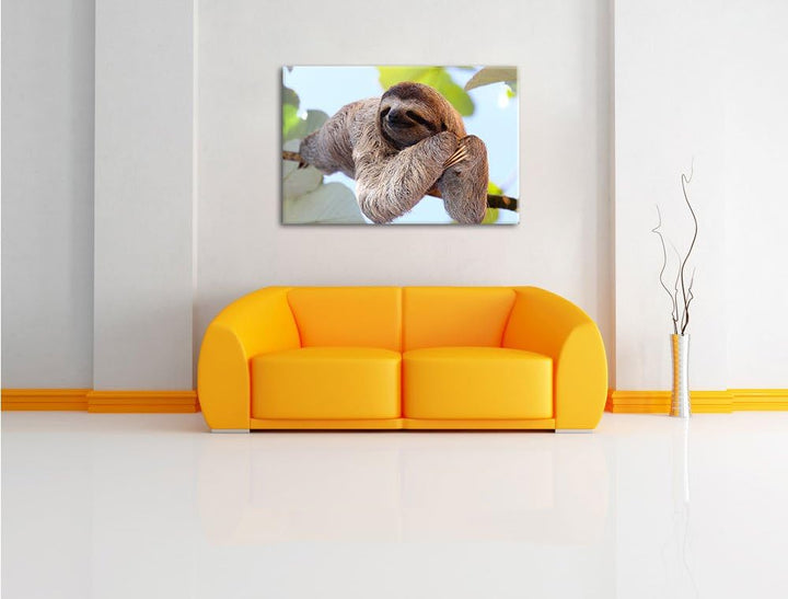 Pixxprint schönes Faultier hängt von AST als Leinwandbild/Grösse: 100x70 cm/Wandbild/Kunstdruck/fert