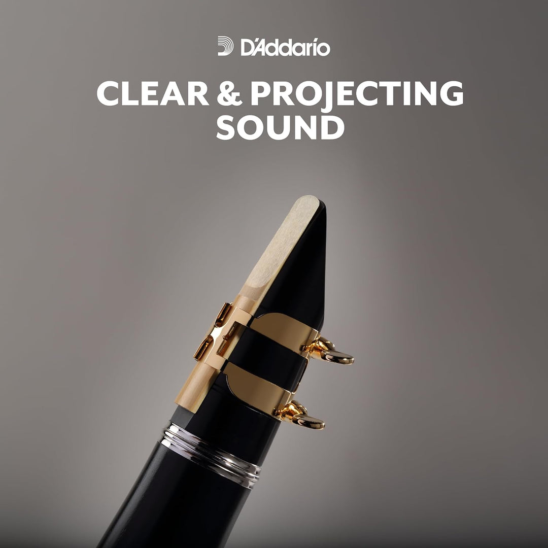 D'Addario Woodwinds RCA0115-B25 Blätter für Klarinetten