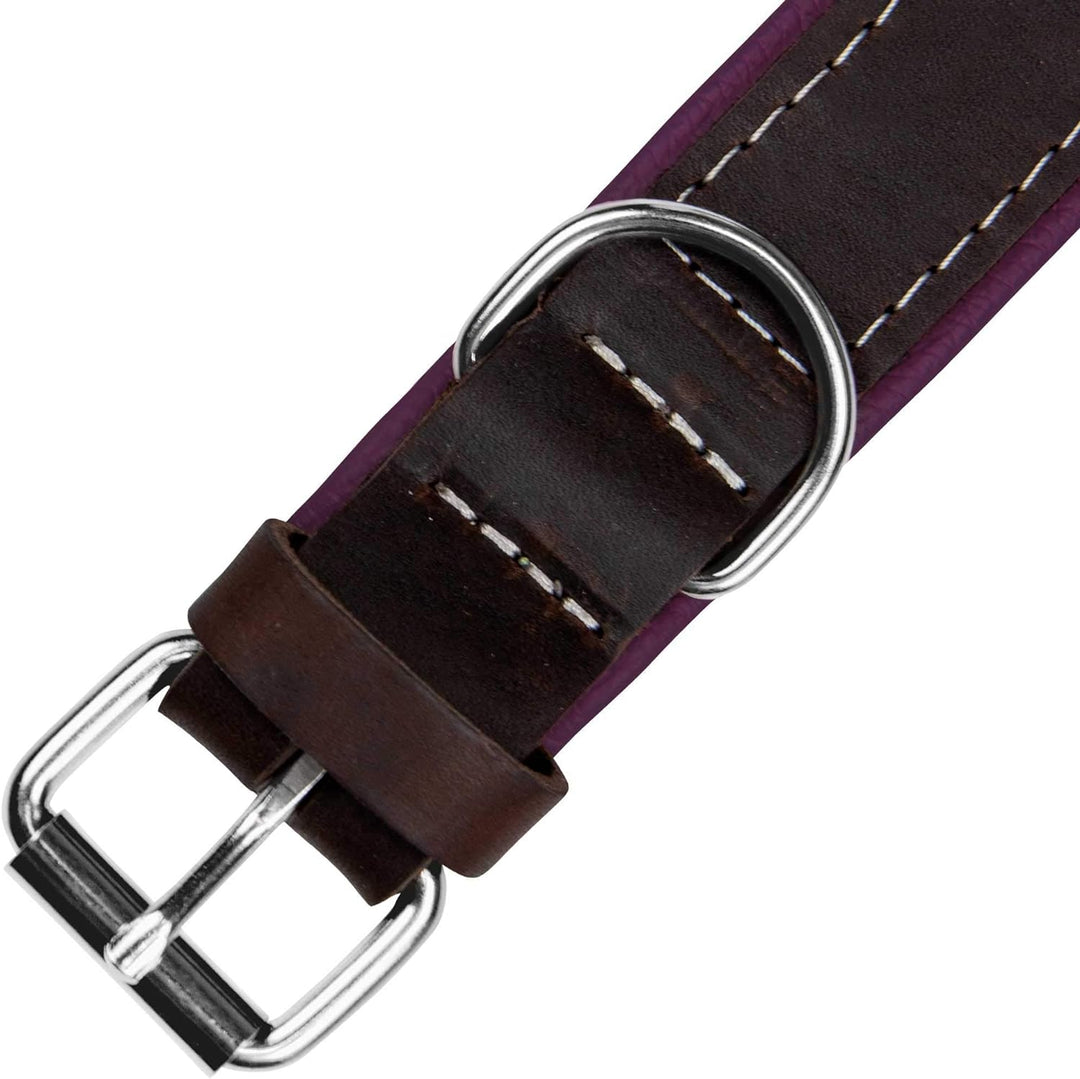 Schecker Moorfeuer Hundehalsband aus Leder Halsumfang ca. 24-32 cm Handgefertigt Handmade Hochwertig