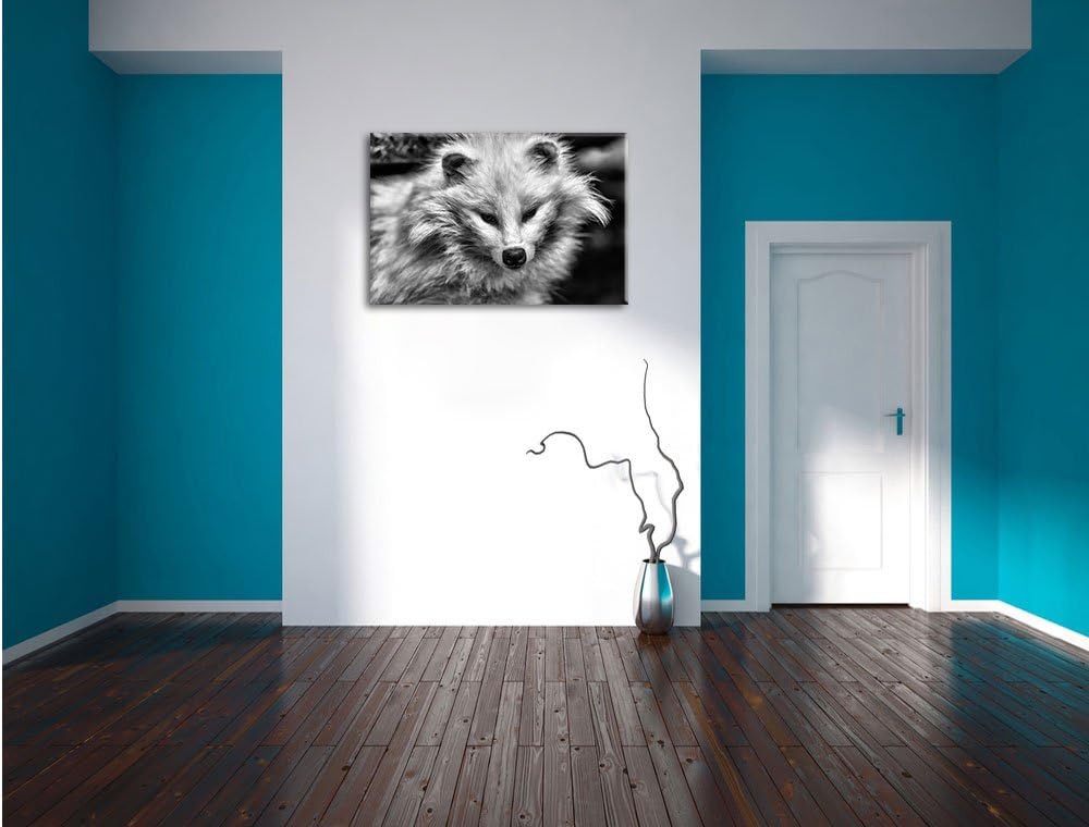 Pixxprint Kleiner Polarfuchs als Leinwandbild/Grösse: 100x70 / Wandbild/Kunstdruck/fertig bespannt,
