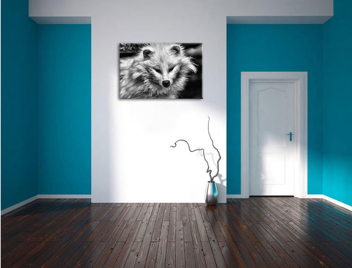 Pixxprint Kleiner Polarfuchs als Leinwandbild/Grösse: 100x70 / Wandbild/Kunstdruck/fertig bespannt,