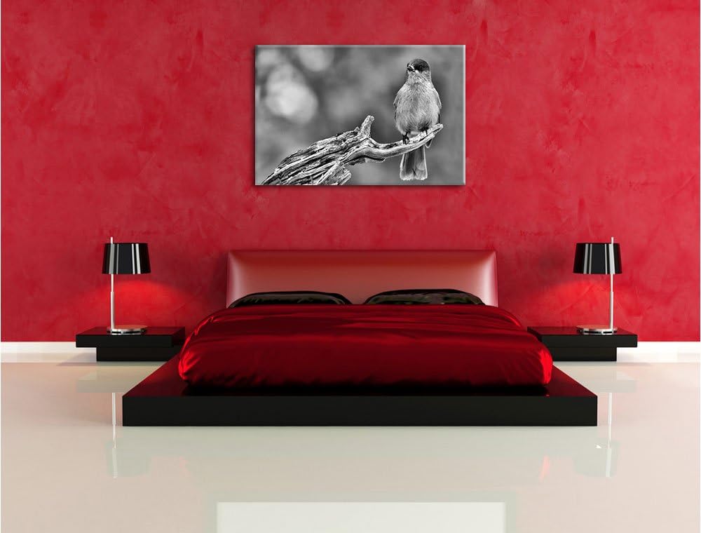 Pixxprint Monocrome, Kleiner Vogel auf AST, Format: 100x70 auf Leinwand, 100x70