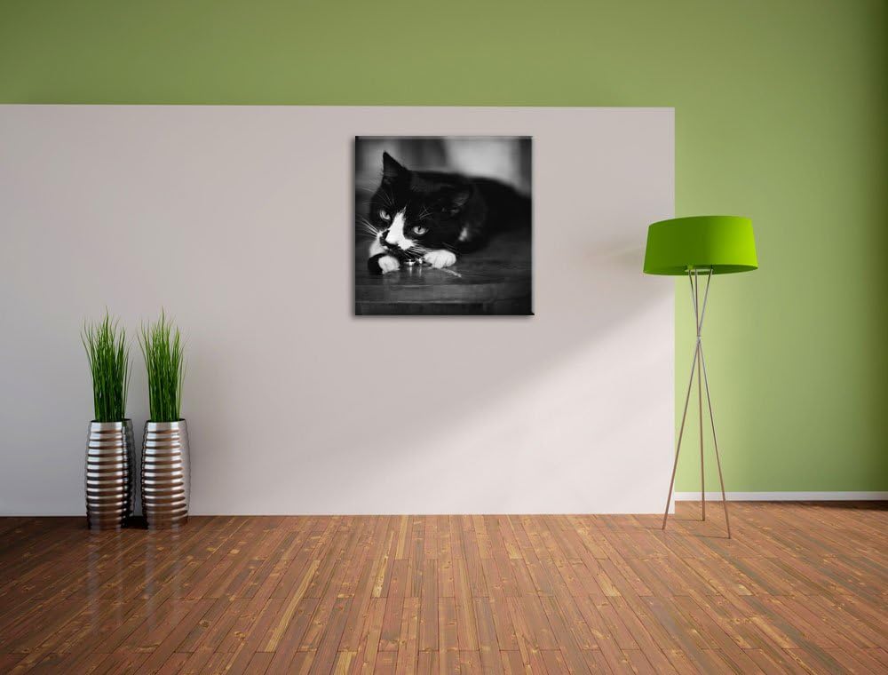 Schwarze Katze spielt mit Ehering, Format: 70x70 auf Leinwand, 70x70
