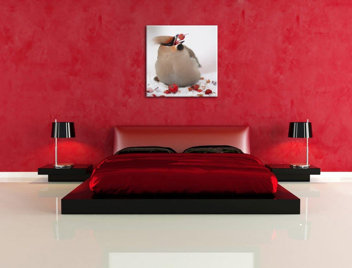 Kleiner Vogel im Schnee, Format: 70x70 auf Leinwand, XXL riesige Bilder fertig gerahmt mit Keilrahme