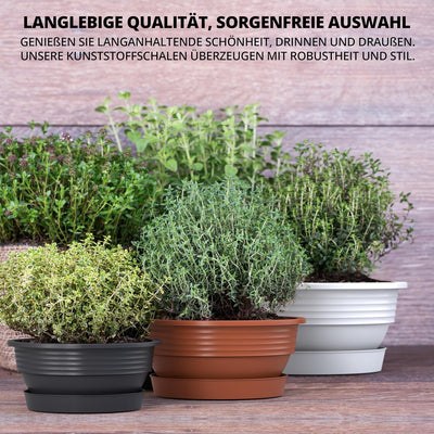 Pflanzschale mit Untersetzer im 5er Set in Anthrazit 40 cm Durchmesser grosse runde Blumenschalen au