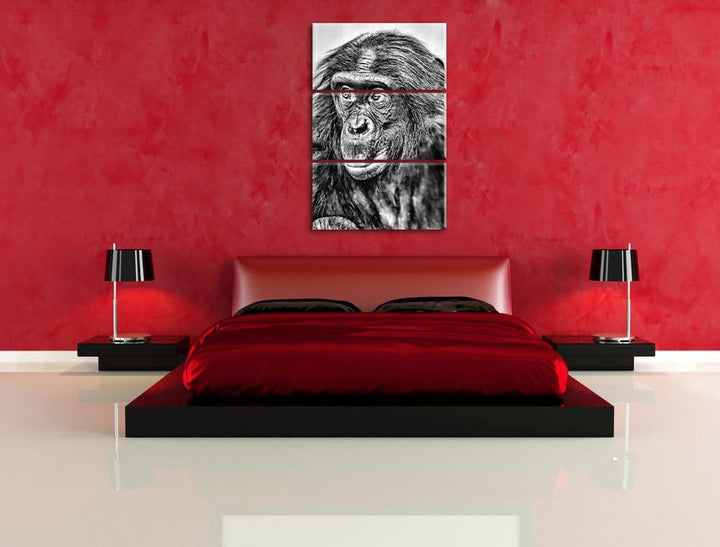 Pixxprint scheuer junger Gorilla als Leinwandbild/Grösse: 3 Teilig (120x80) cm/Wandbild/Kunstdruck/f