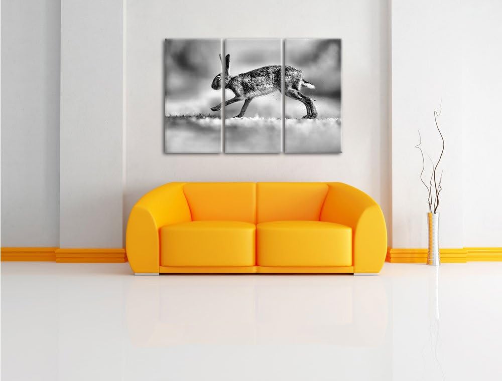 Pixxprint Hüpfender Hase / 3-Teilig/Gesamtmass 120cm Leinwandbild bespannt auf Holzrahmen/Wandbild K