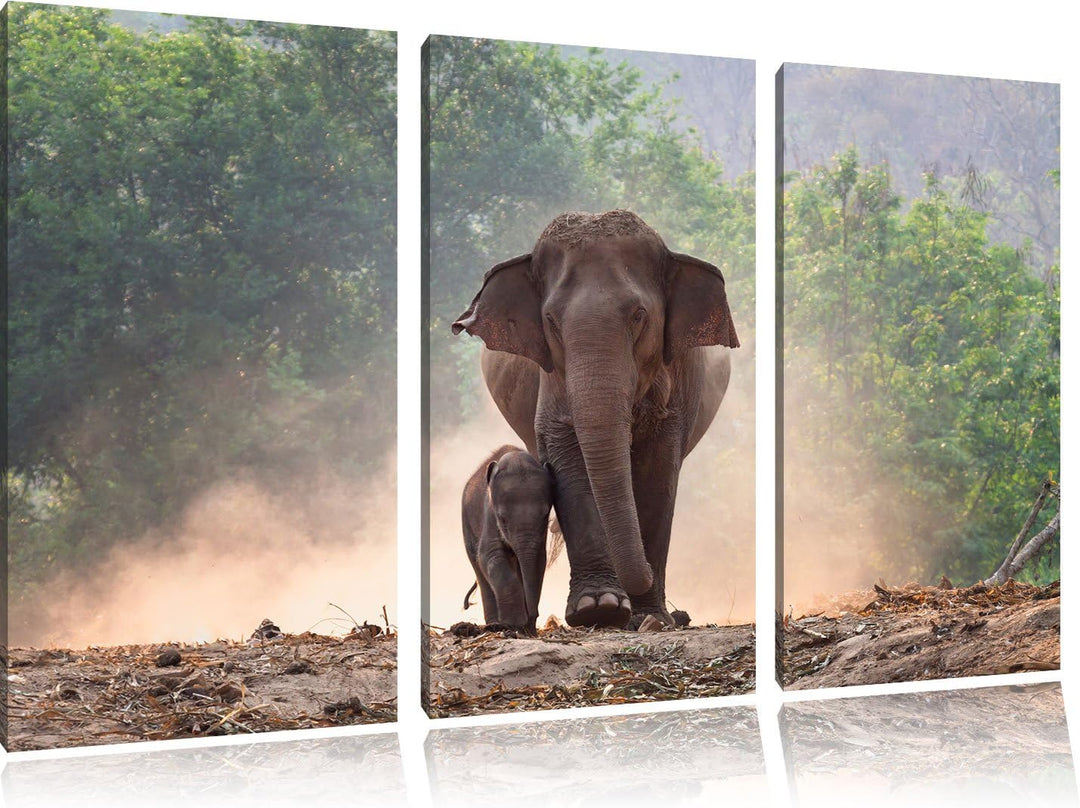 Pixxprint Elefantenbaby mit Mutter / 3-Teilig/Gesamtmass 120cm Leinwandbild bespannt auf Holzrahmen/