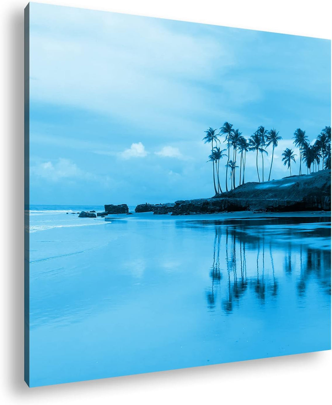 deyoli Palmenstrand in Brasilien Format: 70x70 Effekt: Monocrome Blau als Leinwand, Motiv fertig ger
