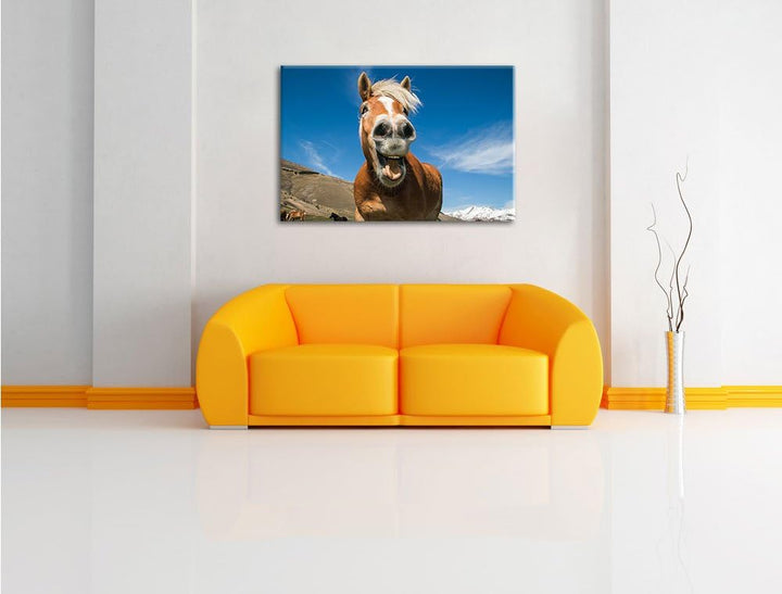 Pixxprint Lustiges Pferd in der Natur als Leinwandbild/Grösse: 100x70 cm/Wandbild/Kunstdruck/fertig