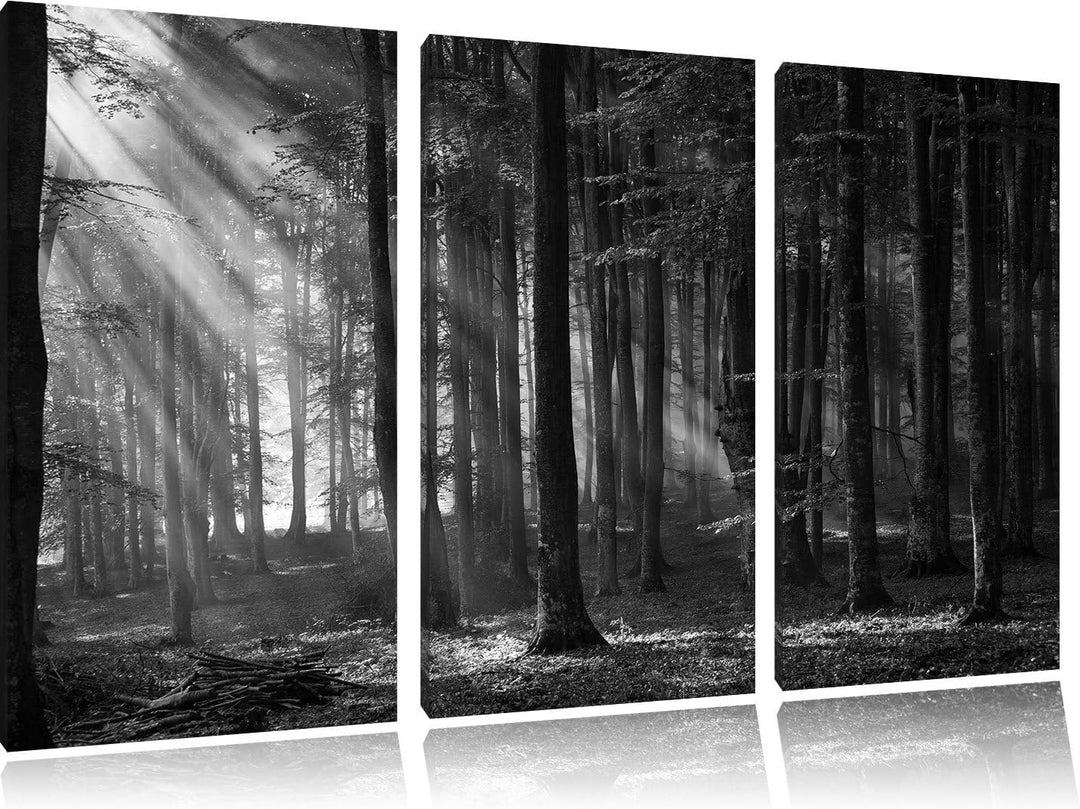 Pixxprint Märchenwald / 3-Teilig/Gesamtmass 120cm Leinwandbild bespannt auf Holzrahmen/Wandbild Kuns