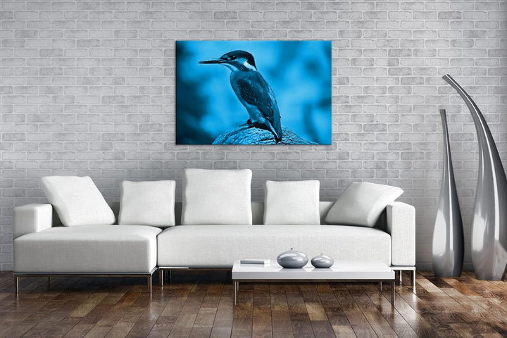 deyoli Eleganter Eisvogel mit blauem Gefieder Format: 80x60 Effekt: Monocrome Blau als Leinwandbild,