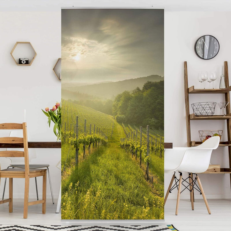 Bilderwelten Raumteiler Sonnenstrahlen Weinberg 250x120cm inkl. transparenter Halterung 250 x 120cm