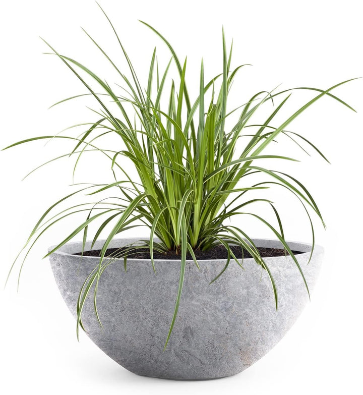 Pflanzwerk® Pflanzkübel Pflanzschale Bowl Ø 36cm Lava Hellgrau *Frostbeständige Blumenschale* *Deuts