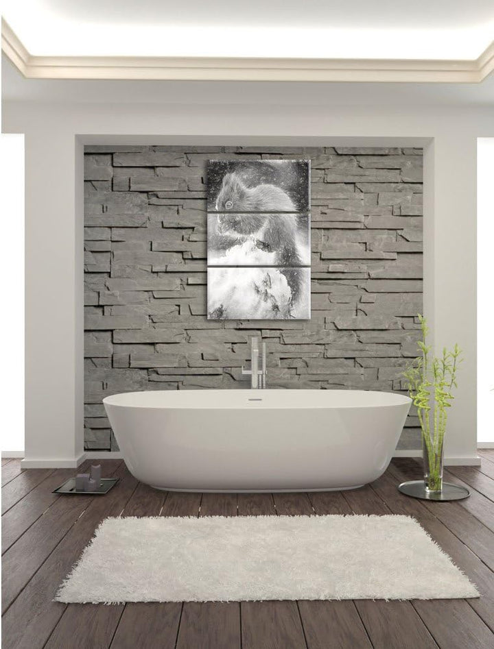 Pixxprint Kleines Eichhörnchen im Winter als Leinwandbild/Grösse: 3 Teilig (120x80) cm/Wandbild/Kuns