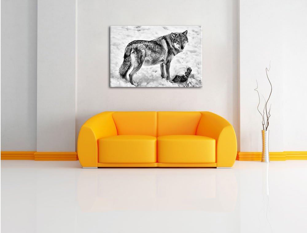 Pixxprint prächtiger Wolf im Schnee als Leinwandbild/Grösse: 100x70 / Wandbild/Kunstdruck/fertig bes