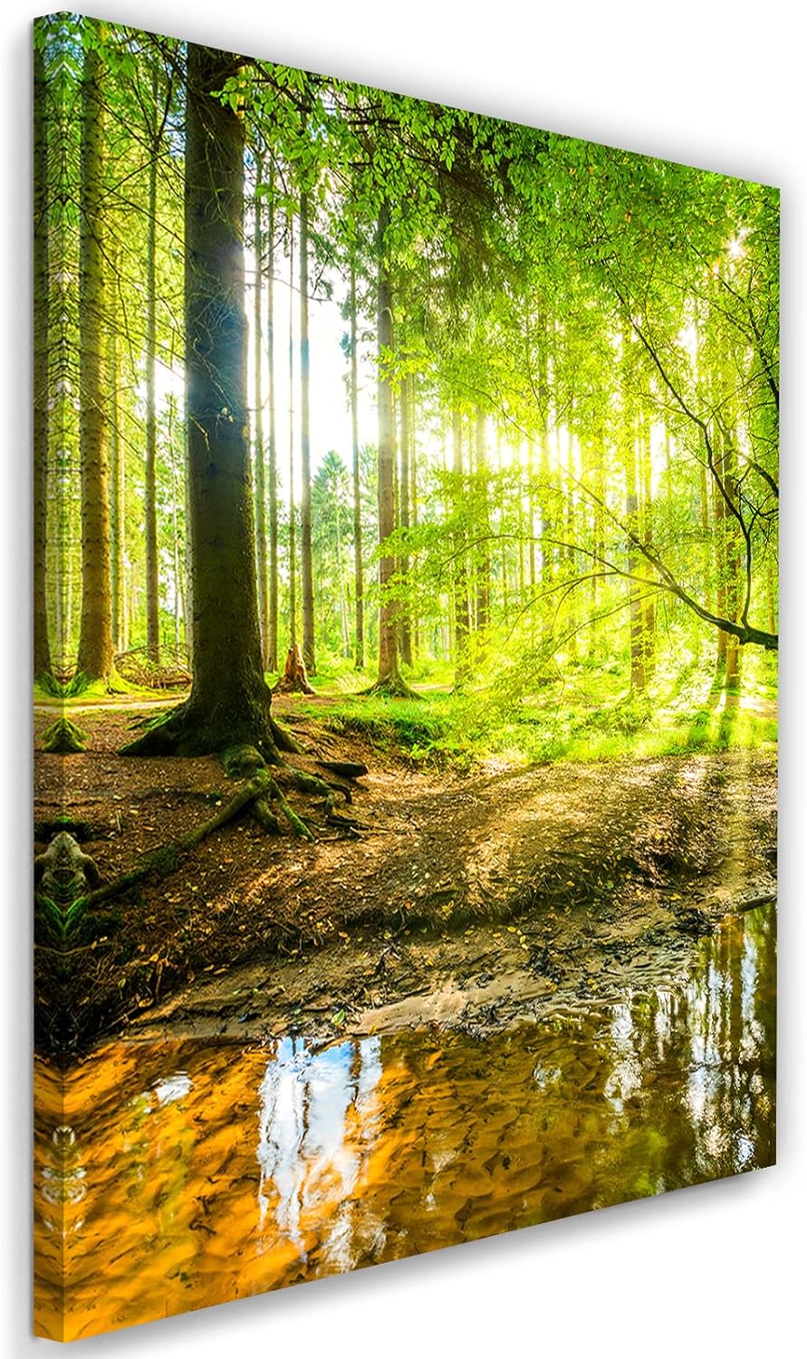 Feeby Vlies Leinwandbild Strom Landschaft Sonnenstrahlen 60x90 cm Druckbild Wandbild Wanddekoration