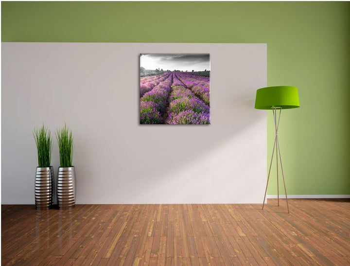 Pixxprint Lavendelfelder in der Provence schwarz/weiss, Format: 70x70 auf Leinwand, 70x70