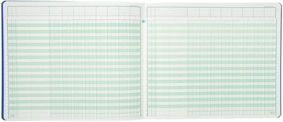 Exacompta 16080E Registerbuch 27x32 cm mit Kopfleiste 8 Spalten 80 Seiten Farben sortiert