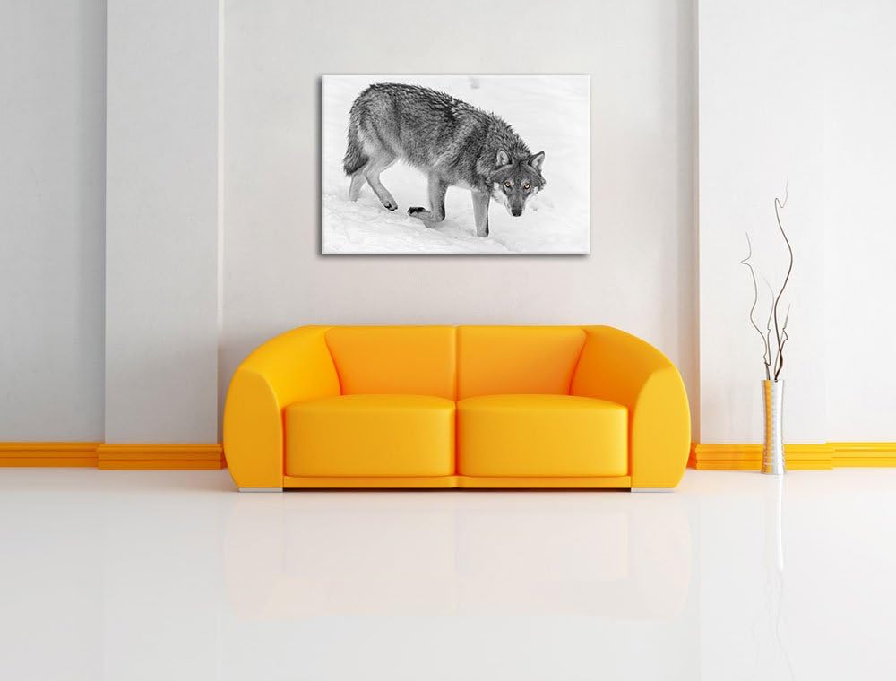seltener Wolf im Schnee schwarz/weiss auf Leinwand, XXL riesige Bilder fertig gerahmt mit Keilrahmen