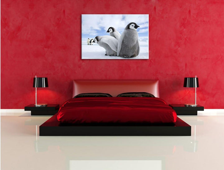 Pixxprint Kaiserpinguin Gruppe / 100x70cm Leinwandbild bespannt auf Holzrahmen/Wandbild Kunstdruck D