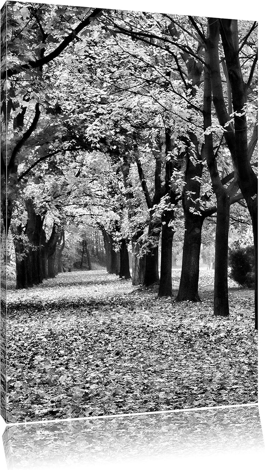 Pixxprint Baumallee im Herbst / 100x70cm Leinwandbild bespannt auf Holzrahmen/Wandbild Kunstdruck De
