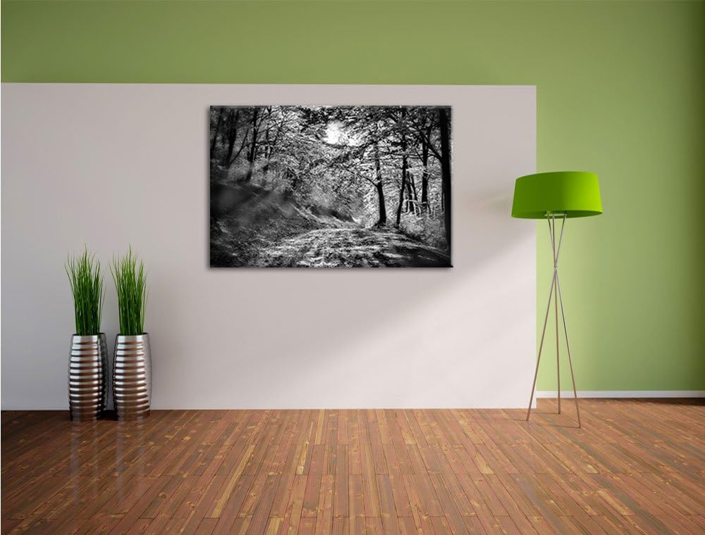 Monocrome, Wald, Format: 100x70 auf Leinwand, XXL riesige Bilder fertig gerahmt mit Keilrahmen, Kuns
