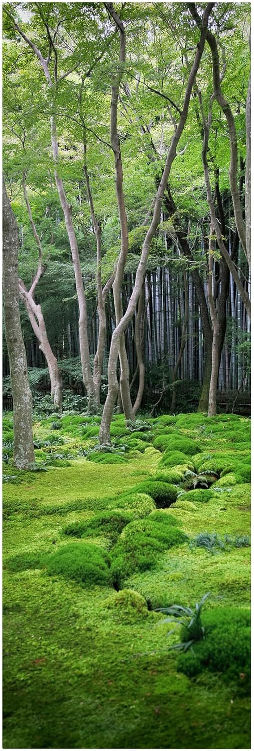 Bilderwelten Leinwandbild Top I Panorama Format 3:1, 90 x 30cm Growing Trees 90cm x 30cm Growing Tre