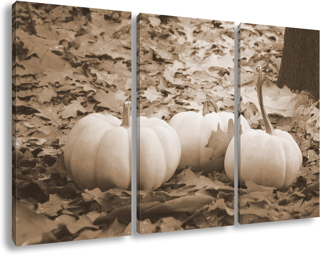 deyoli Herbstliche Kürbise Effekt: Sepia Format: 3Teilig als Leinwandbild, Motiv fertig gerahmt auf