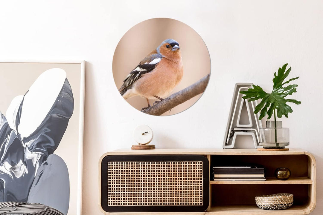 MuchoWow Wandbild Rund Wanddeko Deko Wohnzimmer Bilder 60x60 cm Vogel - Tiere - Fink, 60x60 cm