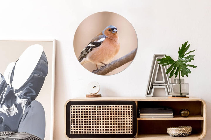 MuchoWow Wandbild Rund Wanddeko Deko Wohnzimmer Bilder 60x60 cm Vogel - Tiere - Fink, 60x60 cm