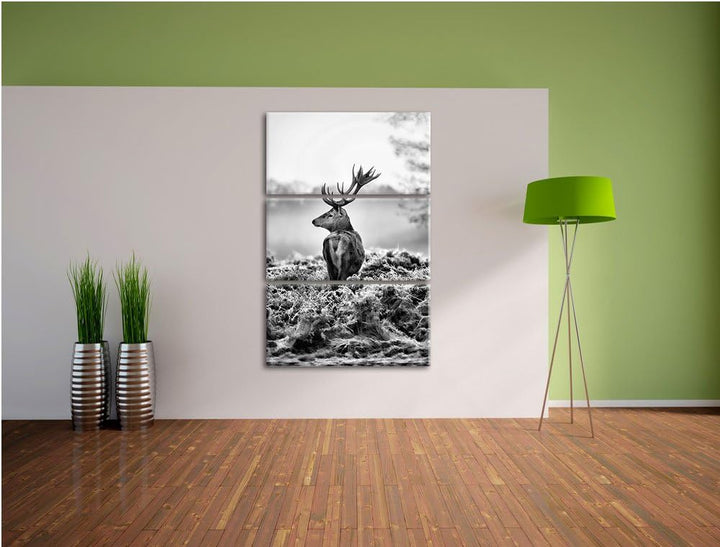 Pixxprint Monocrome, Stolzer Hirsch 3-Teiler Leinwandbild 120x80 Bild auf Leinwand