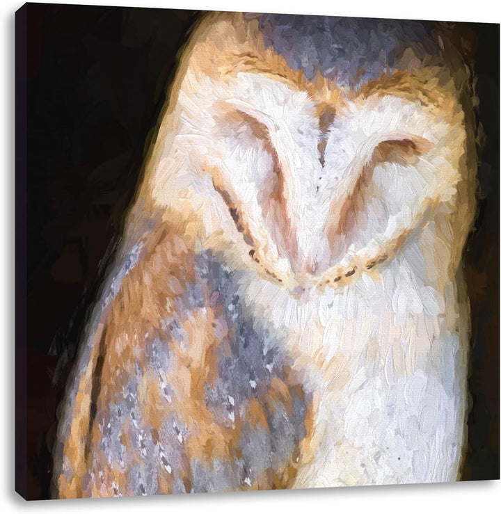 Schleiereule Pinsel Effekt, Format: 70x70 auf Leinwand, XXL riesige Bilder fertig gerahmt mit Keilra