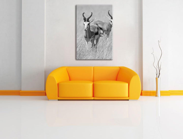 Pixxprint Tiere in Savanne, Rehe, Afrika schwarz/weiss, Format: 70x100 auf hochkantiges Leinwand, XX