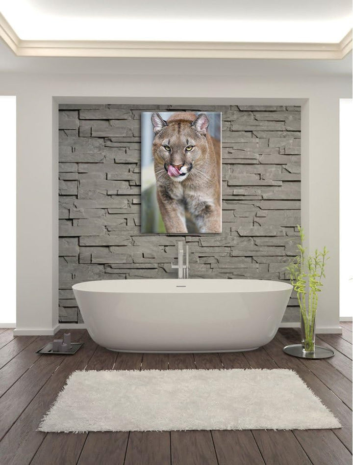 Pixxprint anmutiger Puma auf Leinwand, XXL riesige Bilder fertig gerahmt mit Keilrahmen, Kunstdruck