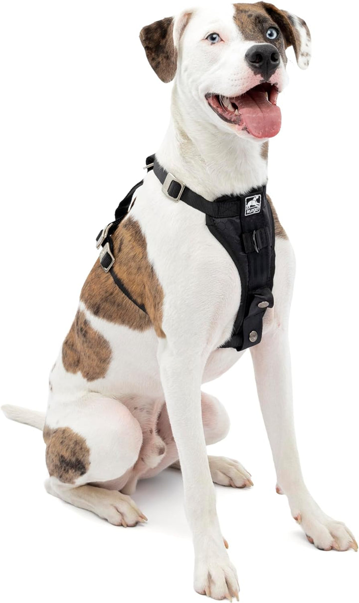 Kurgo Tru-Fit Hundegeschirr, Crash-Test-erprobtes Auto-Sicherheitsgurt, Für Hunde von 11 bis 23 kg,