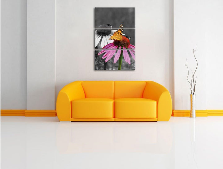 Pixxprint Schmetterling auf Kornblume als Leinwandbild/Grösse: 3 Teilig (120x80) cm/Wandbild/Kunstdr