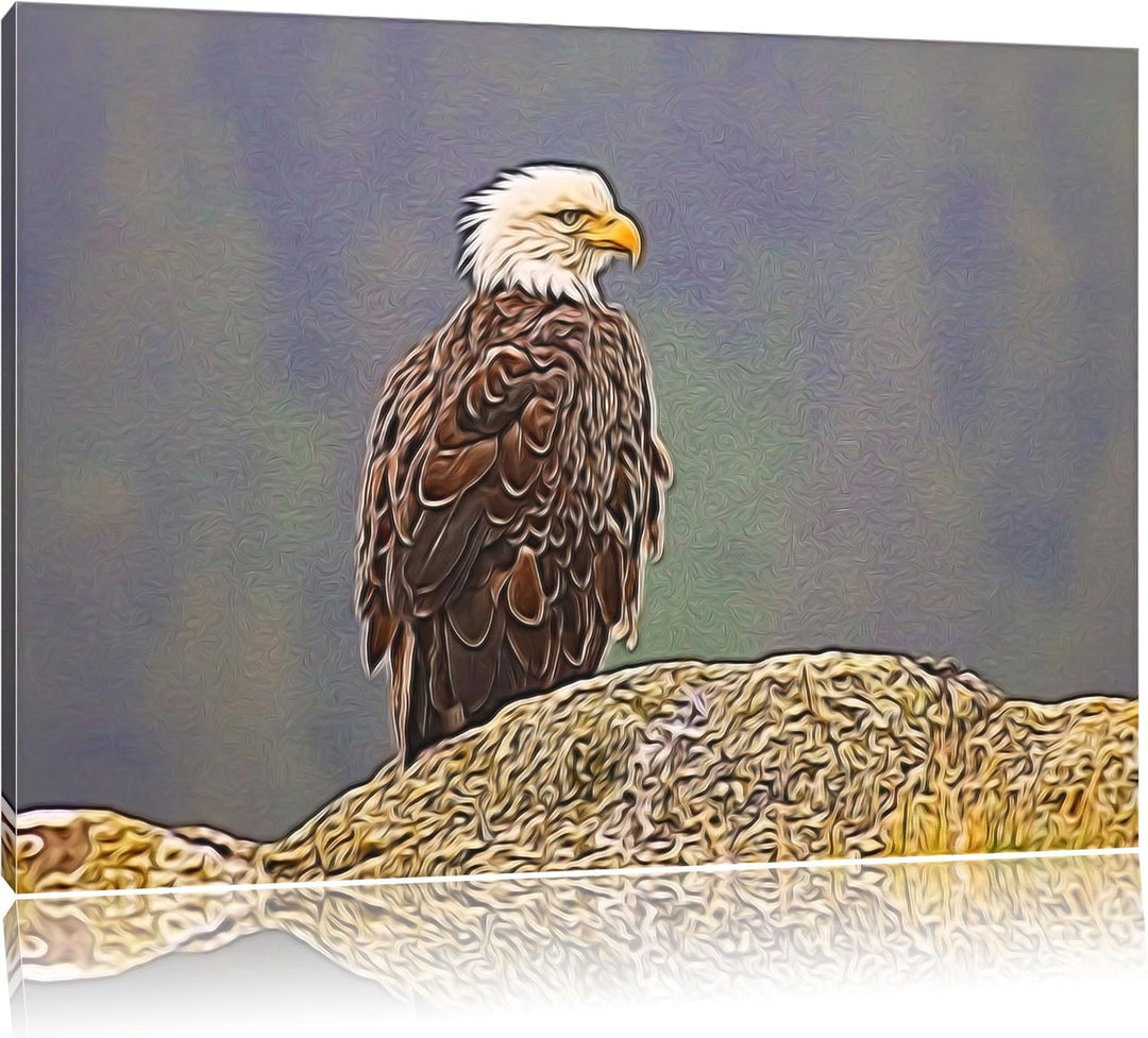 wachsamer Adler auf Fels Spezial Format: 100x70 cm auf Leinwand, XXL riesige Bilder fertig gerahmt m