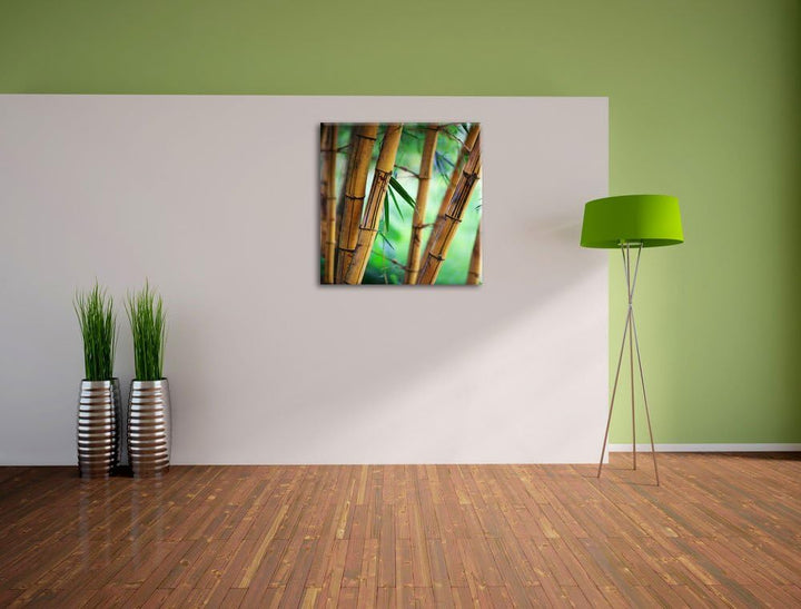 Alter Bambus Wald, Format: 70x70 auf Leinwand, XXL riesige Bilder fertig gerahmt mit Keilrahmen, Kun