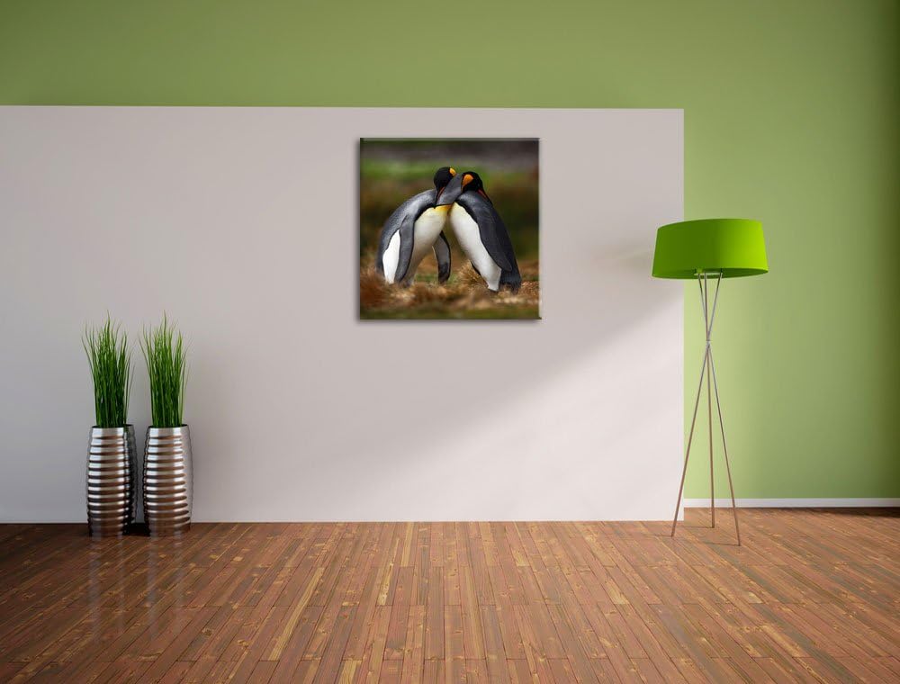 Umarmende Pinguine in der Antarktis, Format: 70x70 auf Leinwand, 70x70