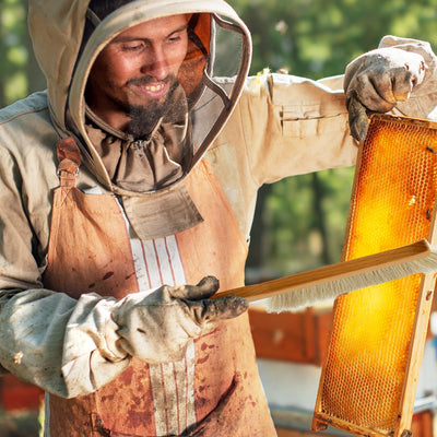 Lantelme Fluglochschieber 15 Stück Bienen Fluglochverkleinerer und Scharniere im Set Imker Imkereibe