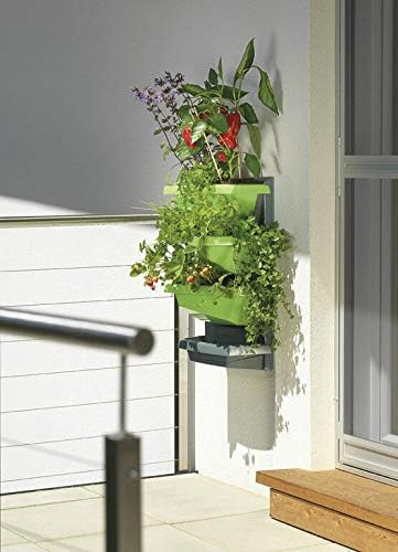 Juwel Vertical Garden Grundelement titan / limette (mit 3 Pflanzschalen, wasserdichte Rückwand, für