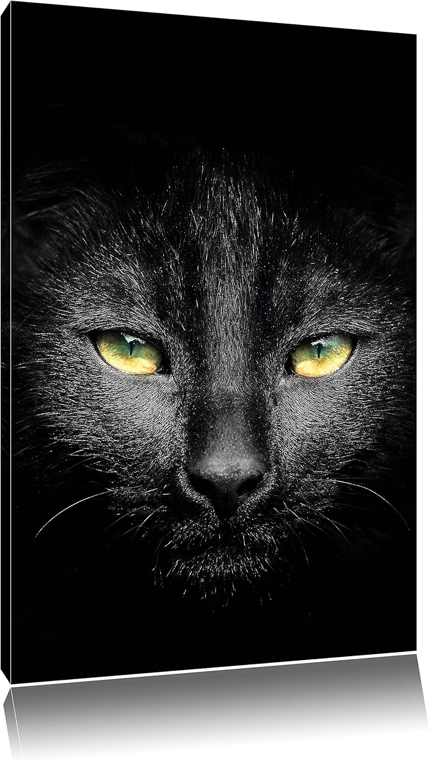 Pixxprint Dark schwarzes Katzengesicht als Leinwandbild/Grösse: 100x70 / Wandbild/Kunstdruck/fertig