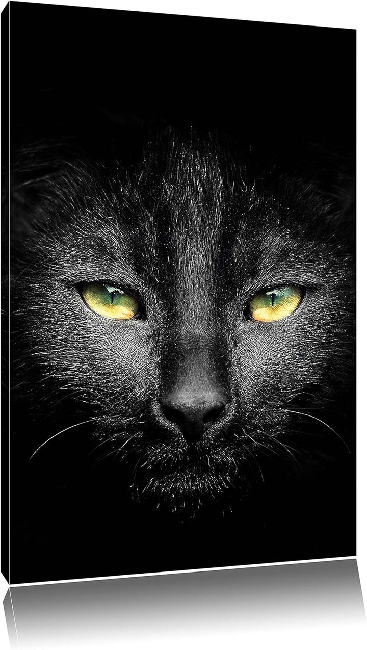 Pixxprint Dark schwarzes Katzengesicht als Leinwandbild/Grösse: 100x70 / Wandbild/Kunstdruck/fertig