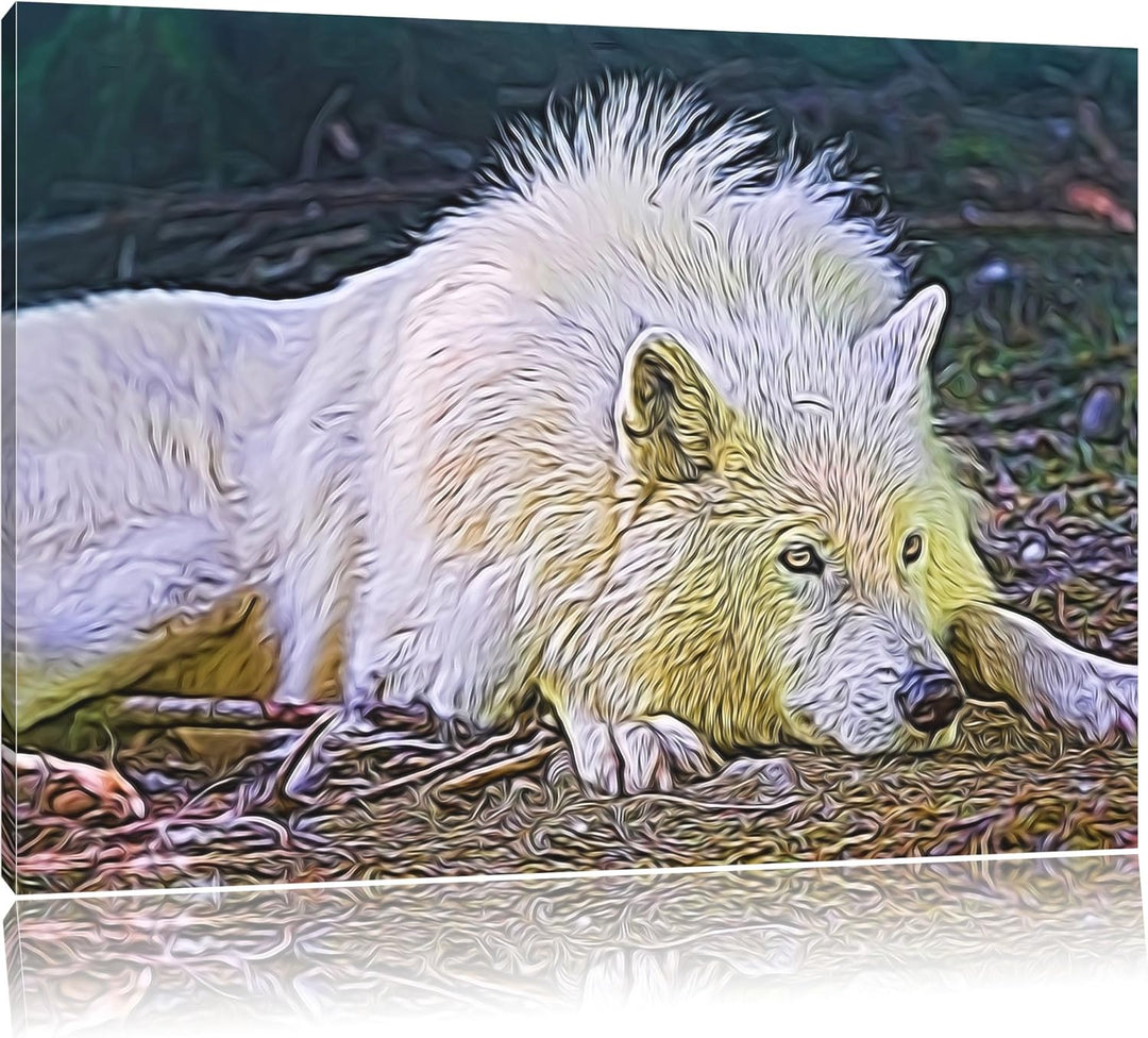 ruhender Polarwolf Deluxe Format: 100x70 cm auf Leinwand, XXL riesige Bilder fertig gerahmt mit Keil