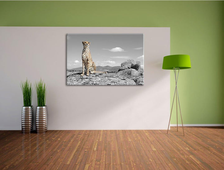 stolzer Gepard schwarz/weiss Format: 100x70 auf Leinwand, XXL riesige Bilder fertig gerahmt mit Keil