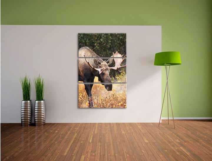 Pixxprint Grosser Elch als Leinwandbild | Grösse: 3 Teilig (120x80) | Wandbild| Kunstdruck | fertig
