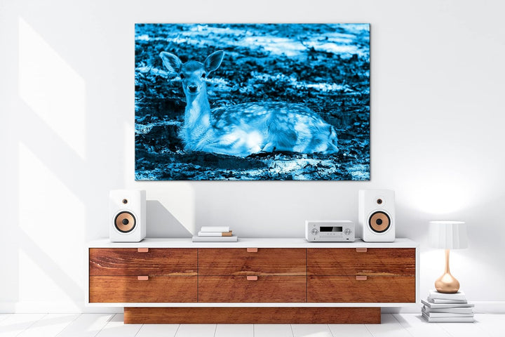 süsses Rehkitz in der Natur Format 80x60 Effekt: Monocrome Blau als Leinwandbild, Motiv fertig gerah