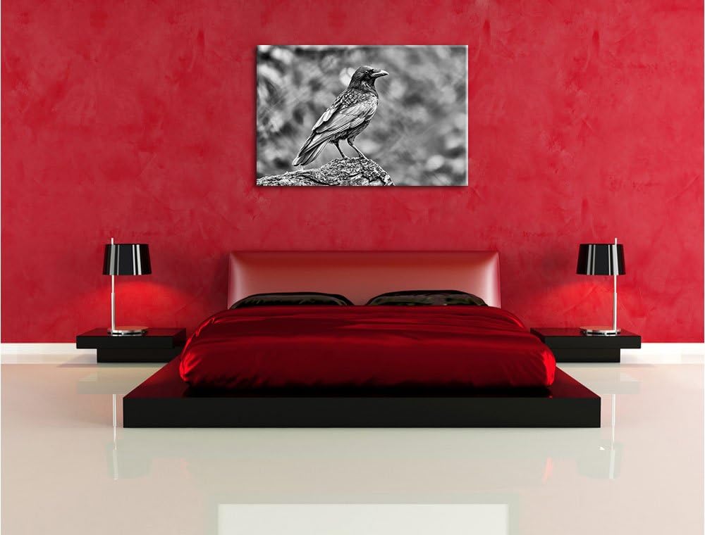 Pixxprint Monocrome, Krähe auf Baumstamm, Format: 100x70 auf Leinwand, 100x70