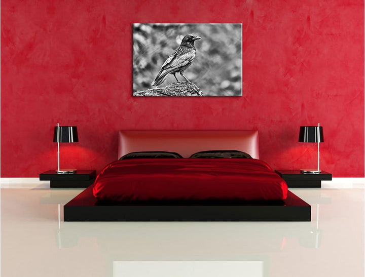 Pixxprint Monocrome, Krähe auf Baumstamm, Format: 100x70 auf Leinwand, 100x70